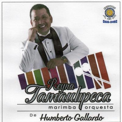 Reyna Tamaulipeca Marimba Orquesta De Humberto Gallardo's cover