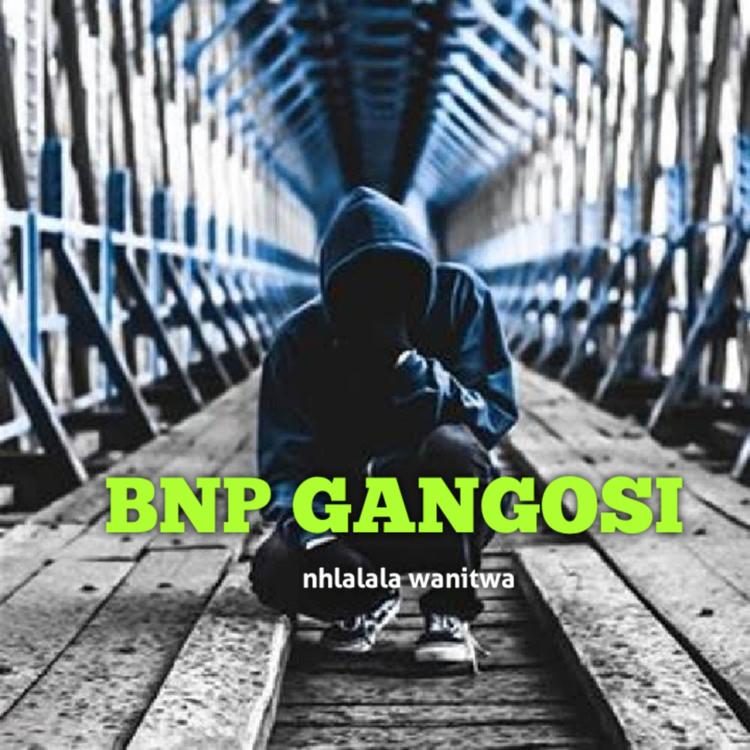 BNP GANGOSI's avatar image