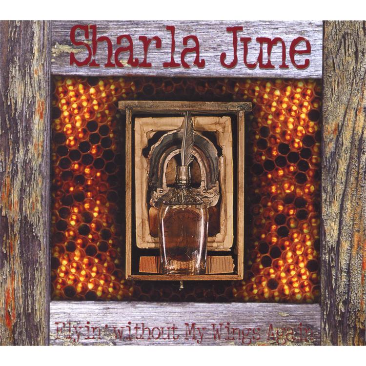 Sharla June's avatar image