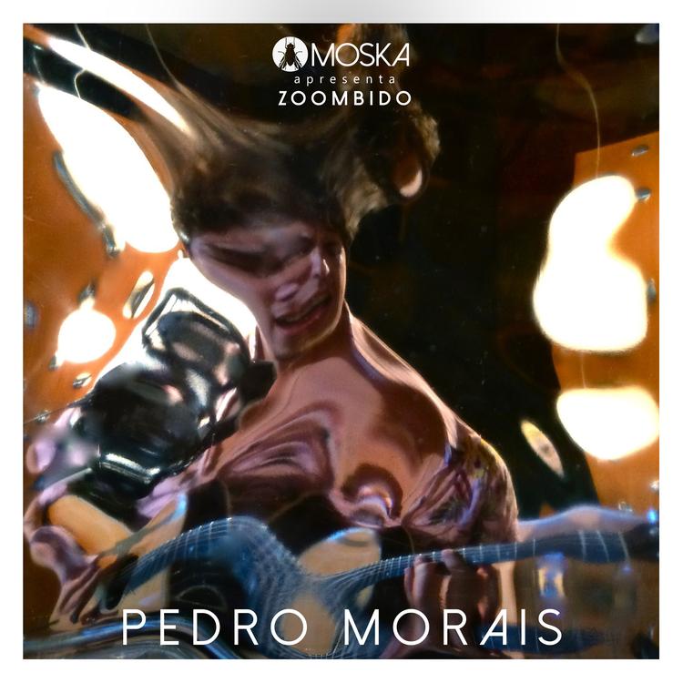 Pedro Morais's avatar image