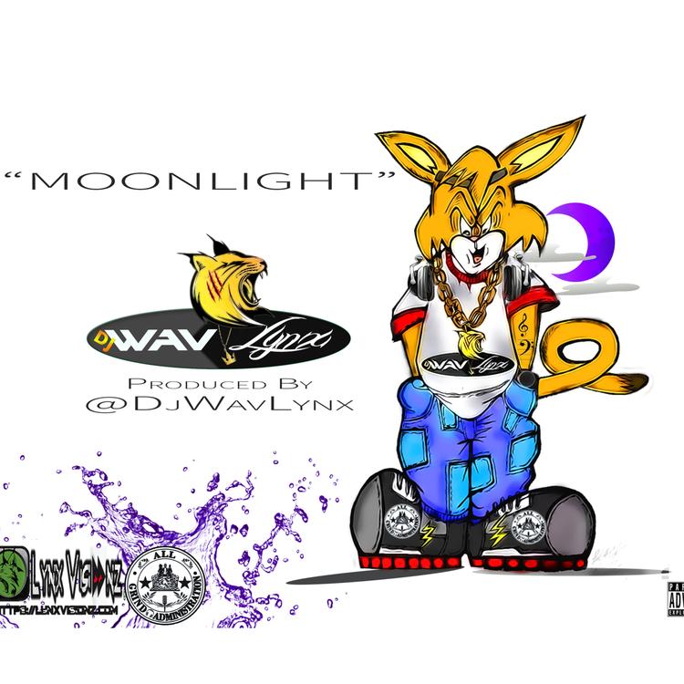Dj Wav Lynx's avatar image