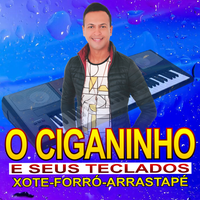 O Ciganinho e Seus Teclados's avatar cover