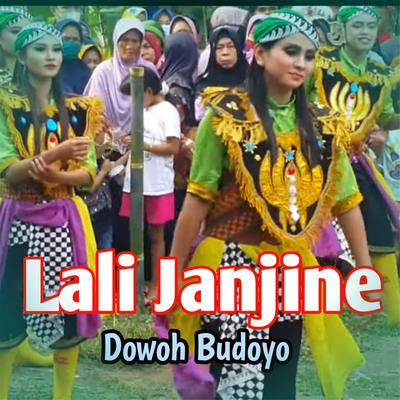 Dowoh Budoyo's cover