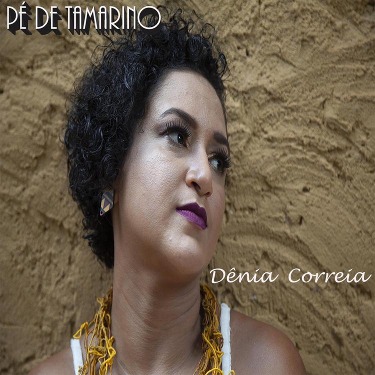Dênia Correia's avatar image
