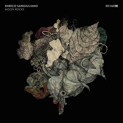 Moon Rocks By Enrico Sangiuliano's cover