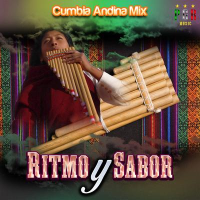 Cumbia Andina Mix's cover