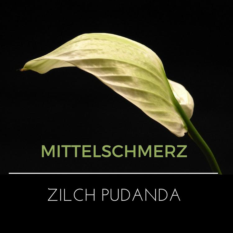 Mittelschmerz's avatar image