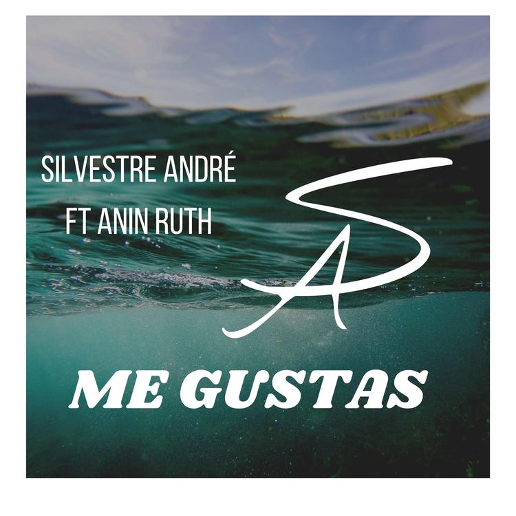 Silvestre André's avatar image