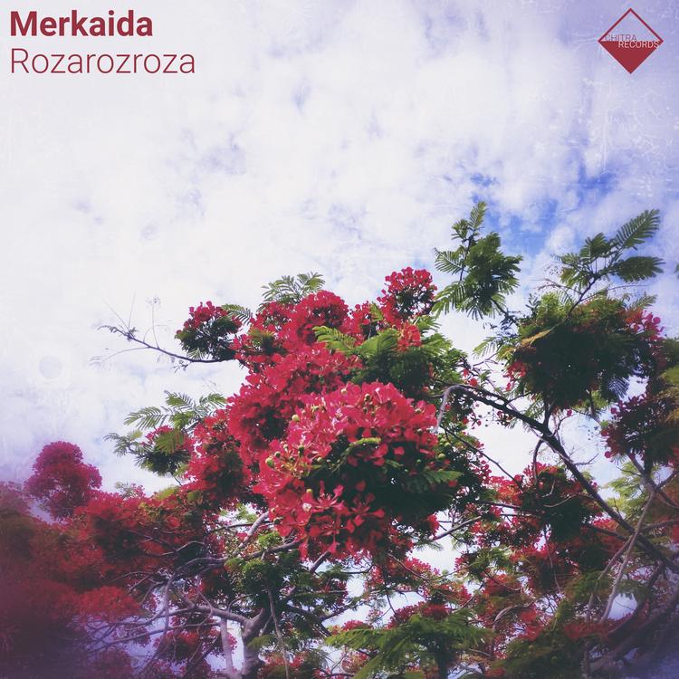 Merkaida's avatar image