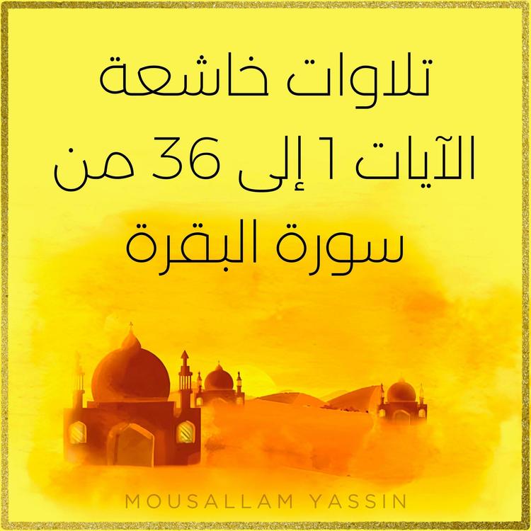 Mousallam Yassin's avatar image