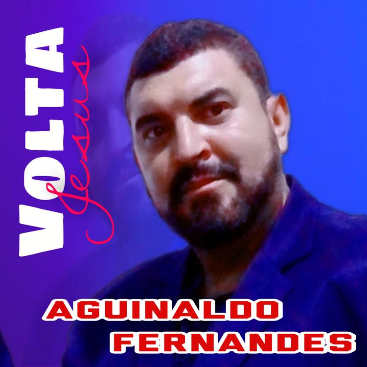 Aguinaldo Fernandes's avatar image