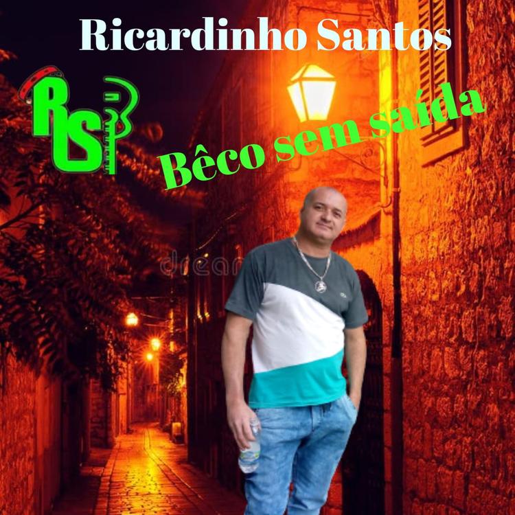 Ricardinho Santos's avatar image