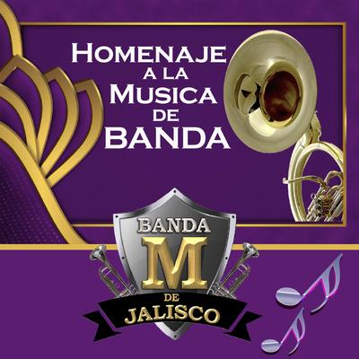 Homenaje a la Musica de Banda's cover