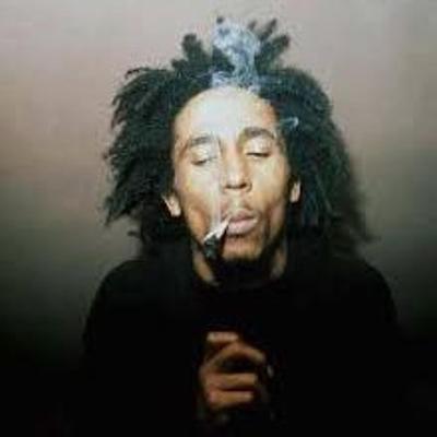 Bob Marley x Ganja Gun (Will Banks Remixxx)'s cover
