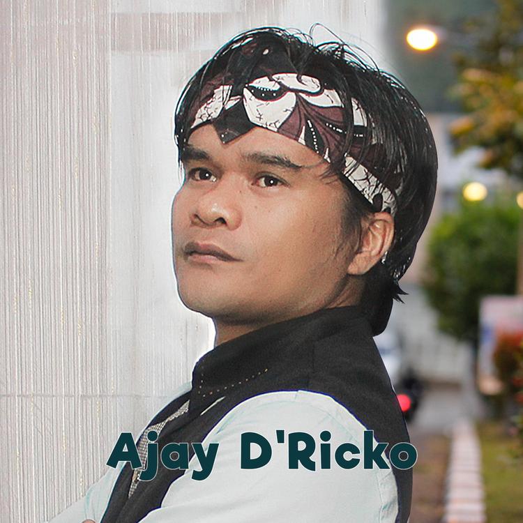 Ajay D'Ricko's avatar image