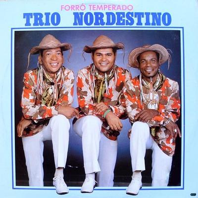 Forró Temperado By Trio Nordestino's cover