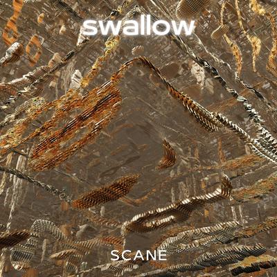 Swallow's cover