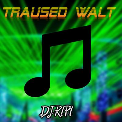 DJRIPI's cover