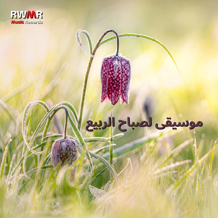 RW المشاعر الجيدة's avatar image