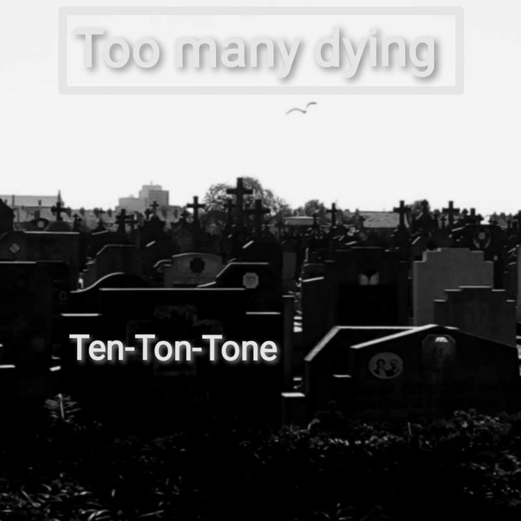 Ten-Ton-Tone's avatar image