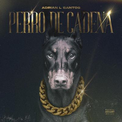 Perro De Cadena's cover