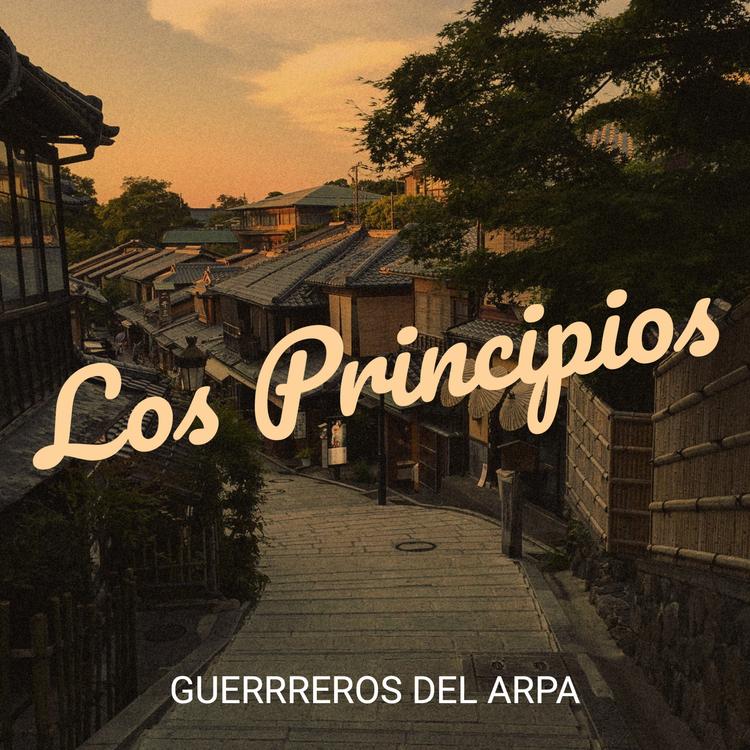GUERRREROS DEL ARPA's avatar image