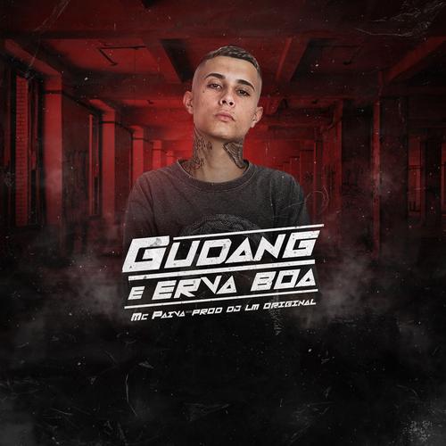 Gudang e Erva Boa's cover