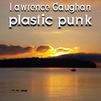 Lawrence Gaughan's cover