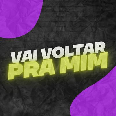 Vai Voltar Pra Mim By DJ ESCOBAR, MC Bob Anne, DJ Cayoo's cover