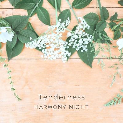 Prayer For The Beautiful World By Harmony Night's cover