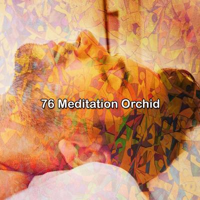 !!!! 76 Meditation Orchid !!!!'s cover