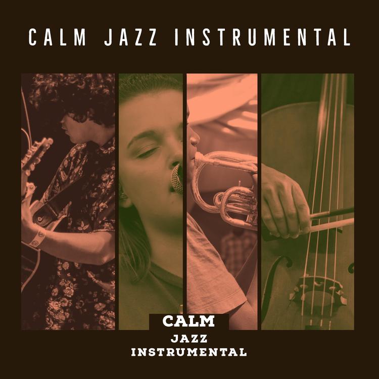 Calm Jazz Instrumental's avatar image