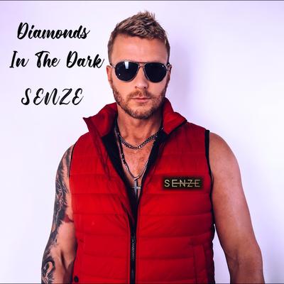 Diamonds In The Dark By Senze's cover