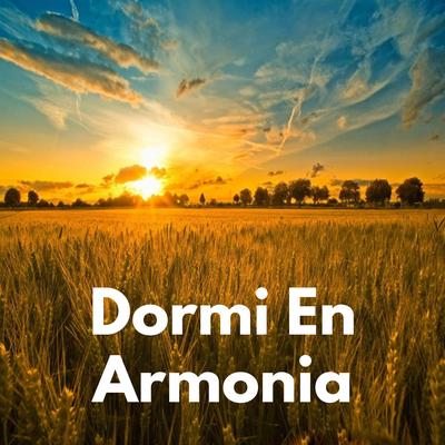 Dormi En Armonia's cover