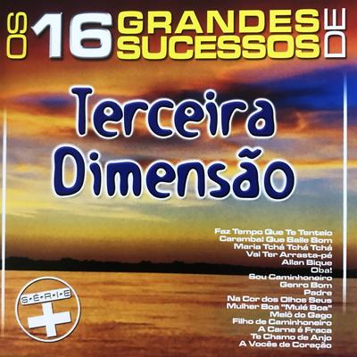 Os 16 Grandes Sucessos de Terceira Dimensão - Série +'s cover