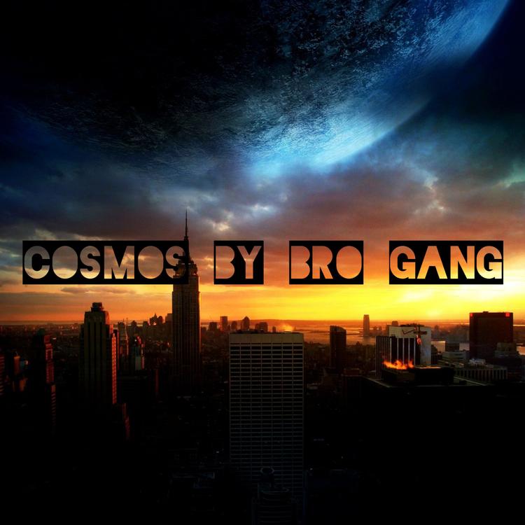 Bro Gang's avatar image