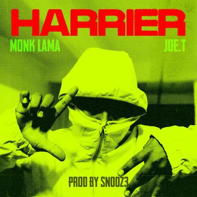 Harrier's cover