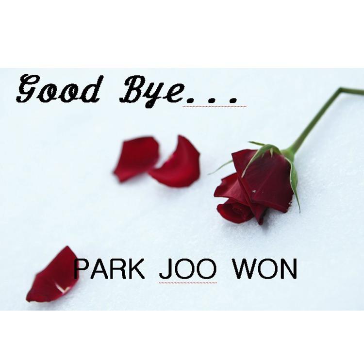 Ju Won Park's avatar image