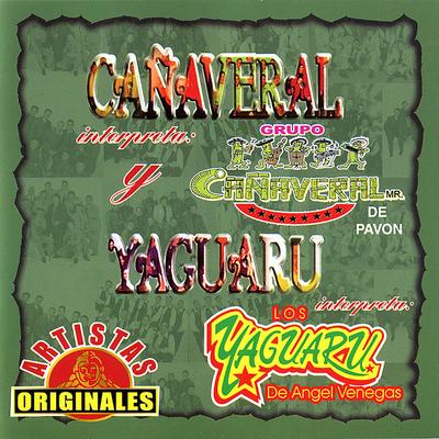 Cañaveral Yaguaru's cover