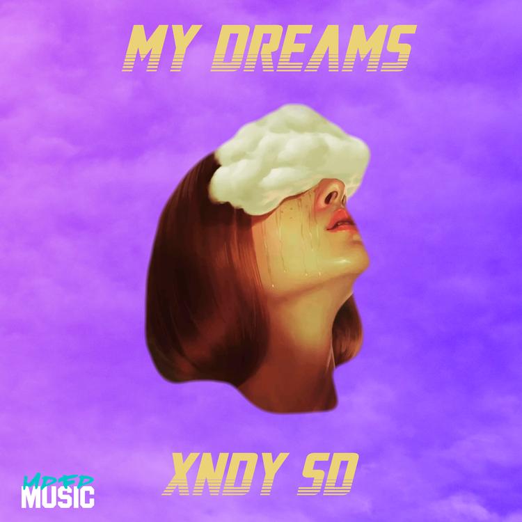 XNDY SD's avatar image