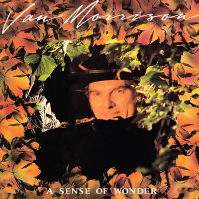 A Sense of Wonder By Van Morrison's cover