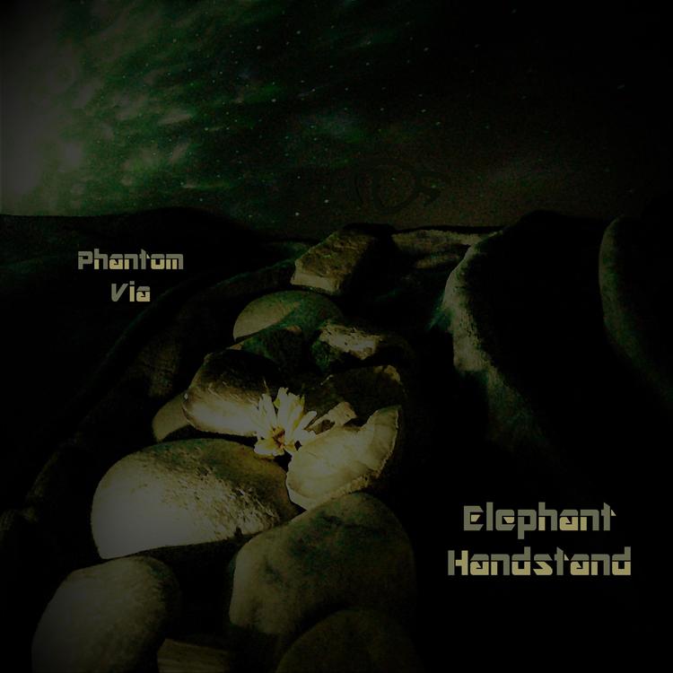 Elephant Handstand's avatar image