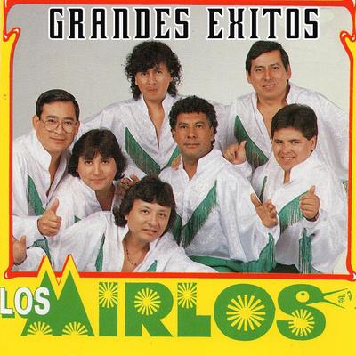 Grandes Éxitos's cover