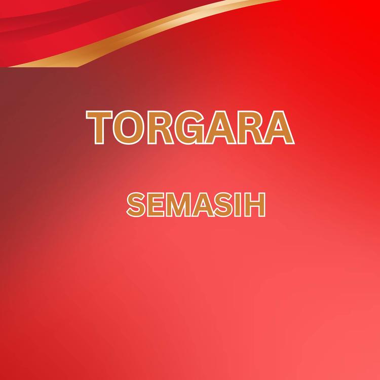 Torgara's avatar image