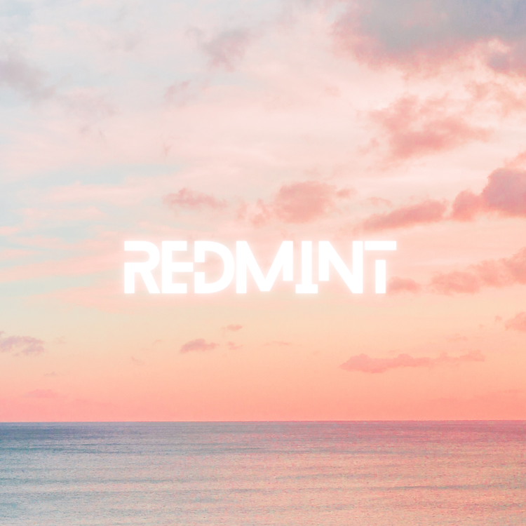 REDMINT's avatar image