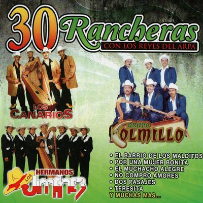 30 Corridos De Tierra Caliente - Con Los Reyes Del Arpa's cover