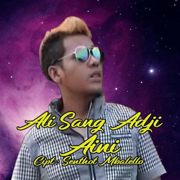 Ali Sang Adji's avatar image
