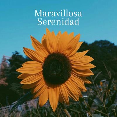 Maravillosa Serenidad's cover