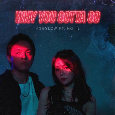 Why You Gotta Go By Aggylow, Ho. N's cover