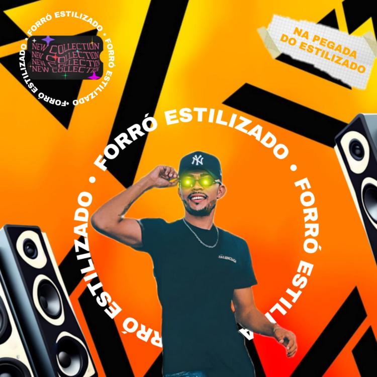 Forró Estilizado's avatar image